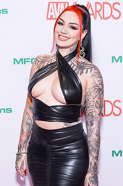Porn Stars On The Red Carpet