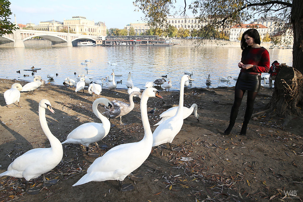 Non Nude But Still Gorgeous 10